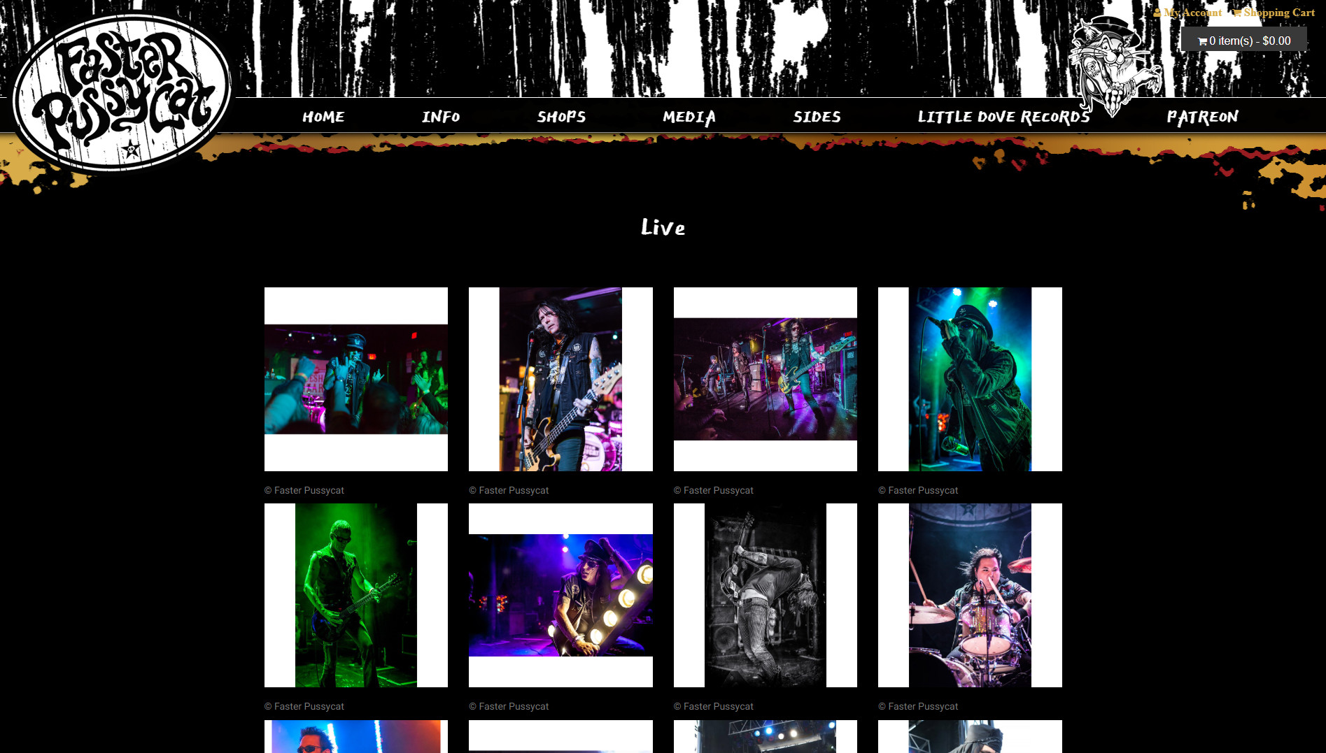 Faster Pussycat Website - Photos Page